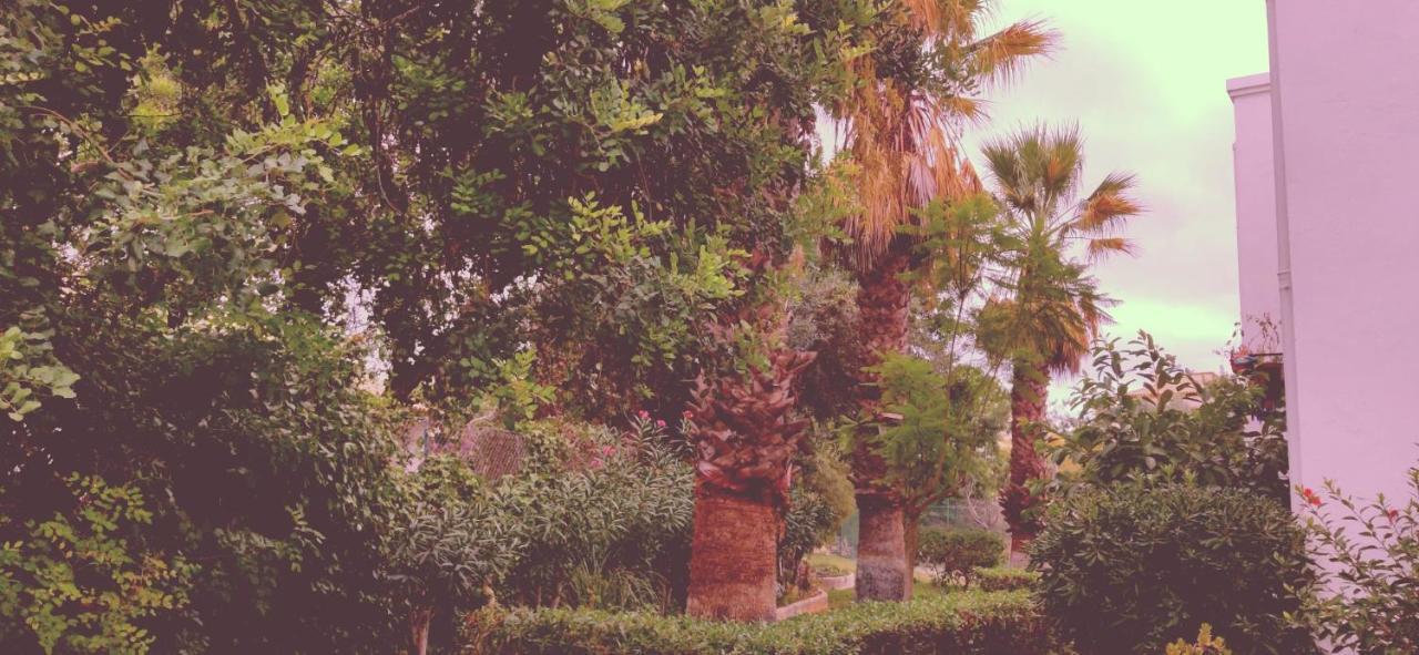 Cantinho Azul - Tavira Garden Exterior photo